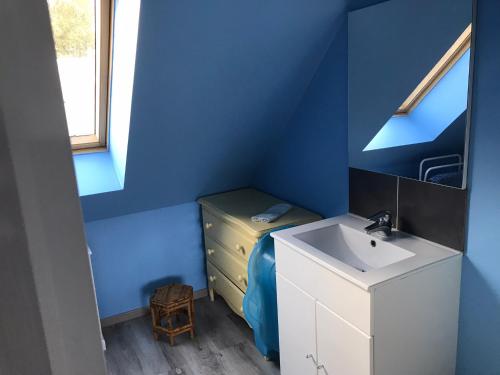 een blauwe kamer met een wastafel en een bed bij gîte de la scierie in Saint Gatien des Bois 