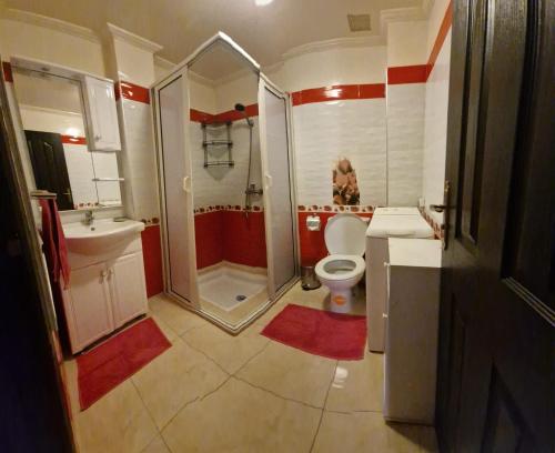 a bathroom with a shower and a toilet and a sink at Aicha Appartement in Marrakesh