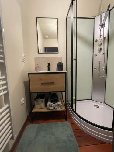 une salle de bain avec un lavabo et une douche dans l'établissement Maison esprit loft, à Courbesseaux