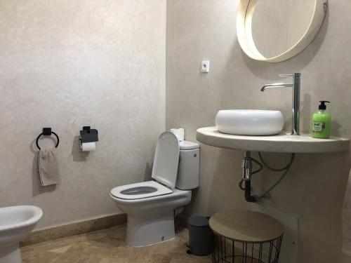 La salle de bains est pourvue de toilettes, d'un lavabo et d'un miroir. dans l'établissement DIANA, à Marrakech