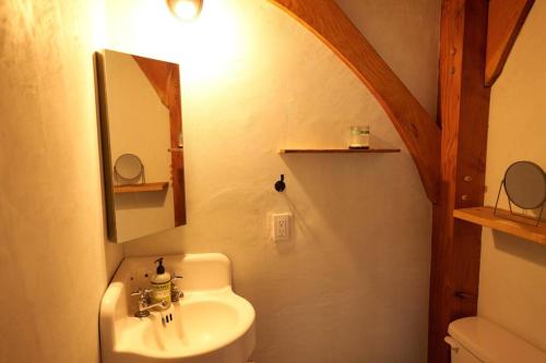 a bathroom with a sink and a mirror at Timber frame guesthouse in NE Portland in Portland