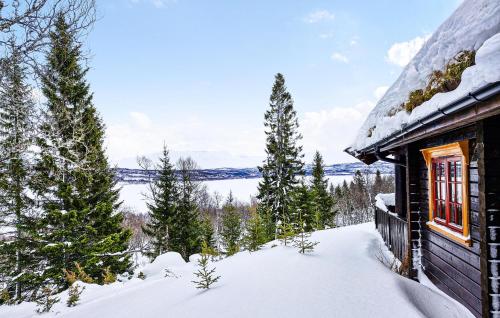 a cabin in the snow with a view of a lake at 4 Bedroom Pet Friendly Home In Tydal in Tydal