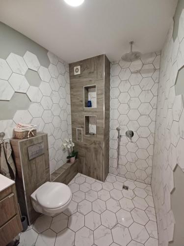 a bathroom with a toilet and a shower at Tara Deluxe Apartment in Varna City