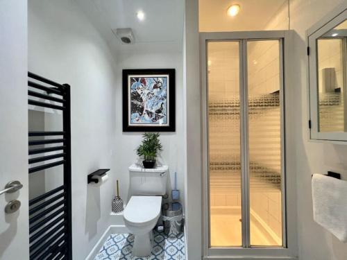 a bathroom with a toilet and a walk in shower at Ground floor central apartment in Kingsbridge