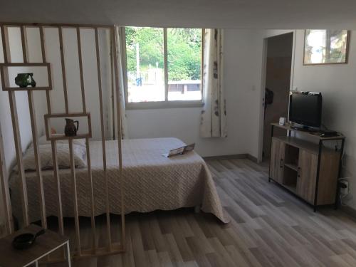 ein Schlafzimmer mit einem Bett und einem TV in der Unterkunft villa les mimosas in Antibes
