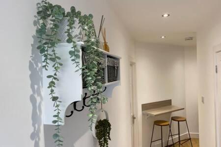 a room with a white wall with a plant on it at Green Glades Annex by StayStaycations in Bristol