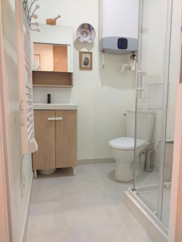 ボルドーにあるBouquiere Studioの小さなバスルーム(トイレ、シャワー付)
