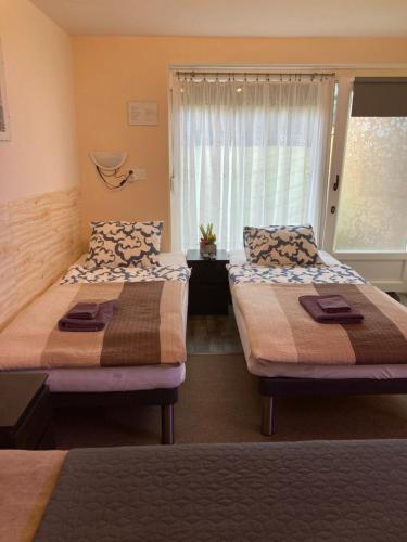 two beds sitting in a room with a window at Green Lake Airport Apartments in Vecsés