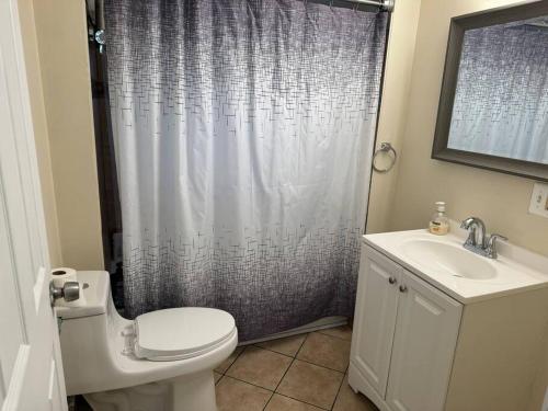 uma casa de banho com um WC, um lavatório e um chuveiro em Comforting getaway-sleeps 6-walk to falls! em Niagara Falls
