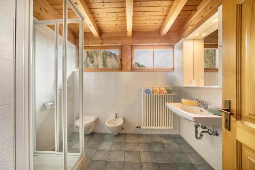 a bathroom with a shower and a sink and a toilet at Thalhof Kornigl in Ultimo