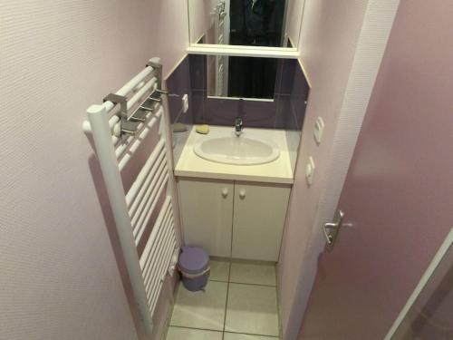 une petite salle de bain avec un lavabo et un miroir dans l'établissement Studio 2 personnes proche plage parking gratuit : 27, à La Bernerie-en-Retz