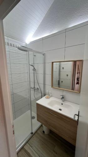 une salle de bain avec une douche, un lavabo et un miroir dans l'établissement location front de mer Plein Soleil, au Crotoy