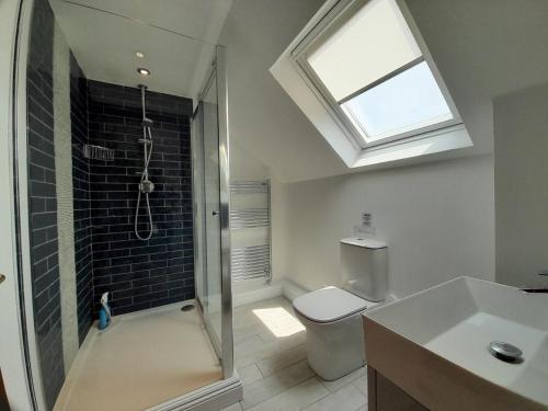 a bathroom with a shower and a toilet and a sink at 3 Bed in East Stoke DC106 in East Stoke