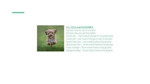 a page of a flyer with a picture of a dog at Piper Cottage, Bilbrough, York in Bilbrough