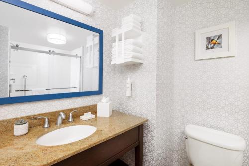 a bathroom with a sink and a toilet and a mirror at Hampton Inn Columbia, MD in Columbia