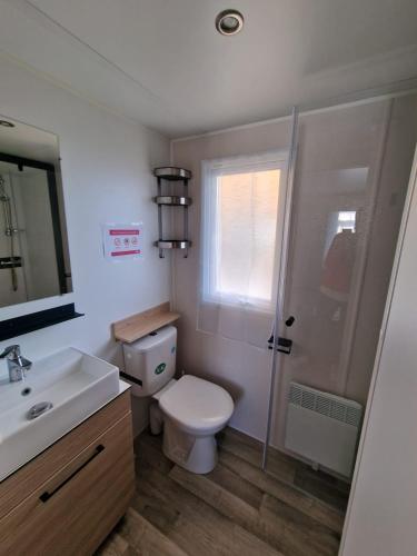une salle de bain avec toilettes, lavabo et miroir dans l'établissement DC - L'Amira 3ch, 2 SDB, 40m2, Confort et détente, à Lattes