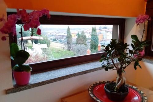 une fenêtre avec des fleurs sur une table en face de celle-ci dans l'établissement Casa Valletta, à Mezzomerico