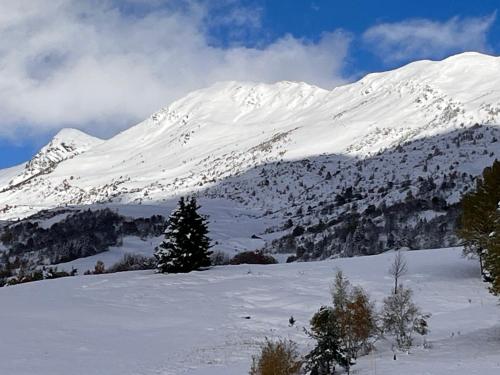 a snow covered mountain with trees in the foreground at LE MOULIN DE NAVETTE - La Meule in Aigueblanche
