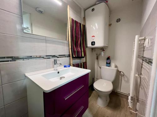 een kleine badkamer met een wastafel en een toilet bij Appartement 3 prsn Proche citadelle in Besançon