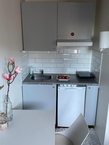una pequeña cocina con fregadero y encimera en Studio 3 en Landskrona