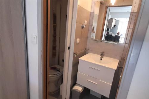 une salle de bain avec un lavabo, des toilettes et un miroir dans l'établissement Studio 313, Port Nature 3 au village naturiste, au Cap d'Agde