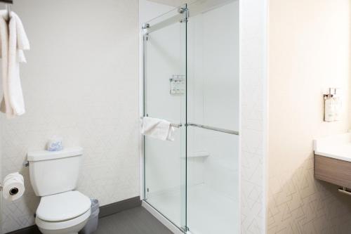 a bathroom with a toilet and a glass shower at Holiday Inn Express & Suites Prince Albert - South by IHG in Prince Albert
