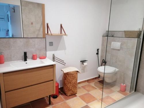 W łazience znajduje się prysznic, umywalka i toaleta. w obiekcie A Casa Assulanatta w mieście Santa-Reparata-di-Balagna