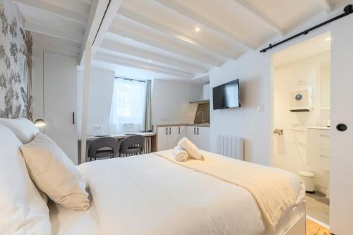 Posteľ alebo postele v izbe v ubytovaní Lille Beaux Arts equipped apartment