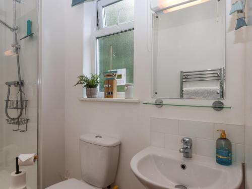 a bathroom with a toilet and a sink and a mirror at Hazelnut Lodge in Crediton