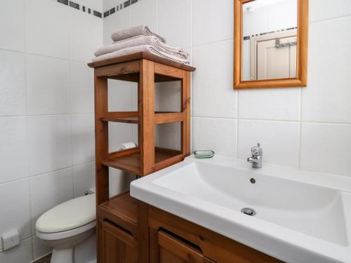 ein Badezimmer mit einem Waschbecken, einem WC und einem Spiegel in der Unterkunft Carew in Llandysul