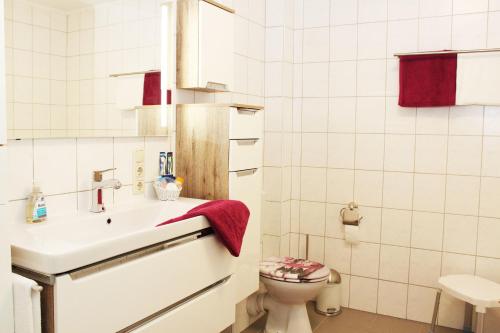La salle de bains est pourvue d'un lavabo et de toilettes. dans l'établissement Ferienhaus im Bleitz, à Wrestedt