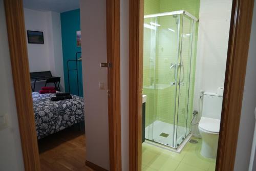 een badkamer met een douche, een toilet en een bed bij Nootka in San Rafael