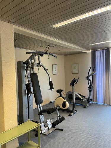 Gallery image of Lake Apartment 3 in Bissone