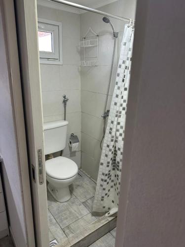 Un baño con inodoro y cortina de ducha. en Monoambiente Serena Depto, en Mar del Plata