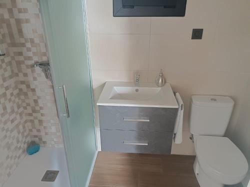 een kleine badkamer met een wastafel en een toilet bij Albergue O Corisco in Redondela