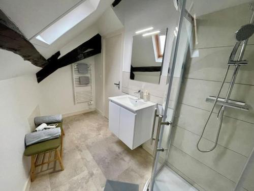 a bathroom with a sink and a shower at Appartement centre ville in Le Blanc