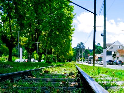 una vía de tren vacía en un campo con árboles en VELINN Pousada Chateau do Luar, en Campos do Jordão