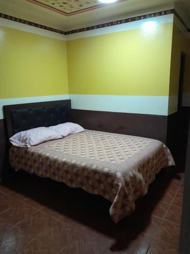 a bedroom with a bed in a room at Santa Fe in Oruro