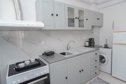 uma cozinha branca com um lavatório e uma máquina de lavar louça em Alonaki home em Mesaíon Karlovásion
