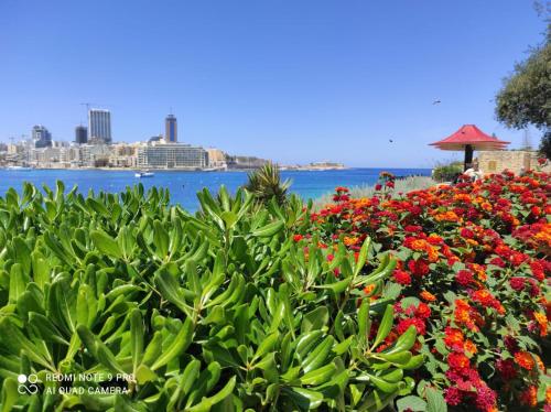 a field of flowers in front of the water at "Spirit of Malta" Historic Maltese Townhouse by the sea in Sliema