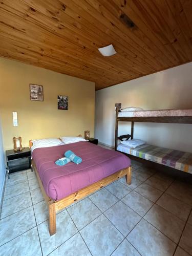een slaapkamer met een bed en 2 stapelbedden bij Tierra Viva in Puerto Iguazú
