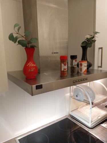 un vaso rosso seduto su uno scaffale in una cucina di COZY STUDIO CENTRAL a Helsingborg