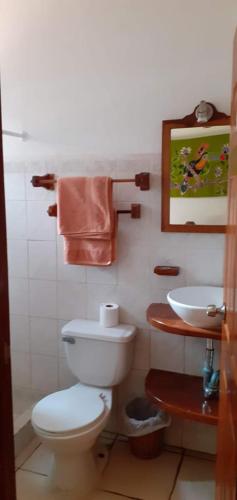 a bathroom with a toilet and a sink at las cabinas del sueño in Nicoya