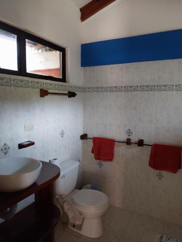 a bathroom with a white toilet and a sink at las cabinas del sueño in Nicoya