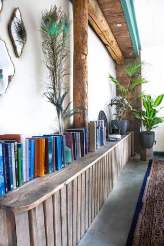 Biblioteca en la villa