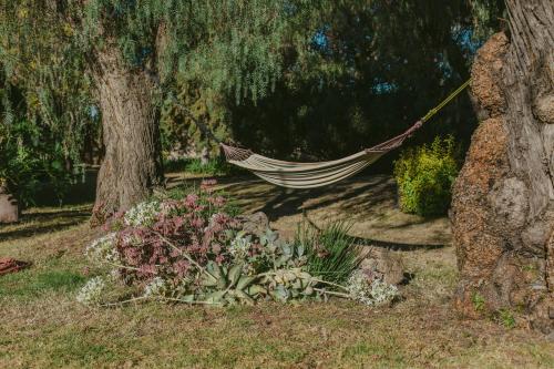 Fotografie z fotogalerie ubytování Hacienda Real Love & Wellness v destinaci San Miguel de Allende