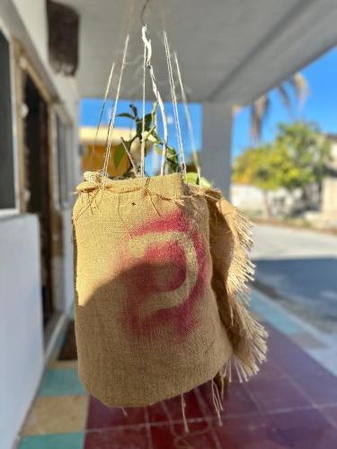 Una bolsa con una maceta. en UcúLila, en Sisal