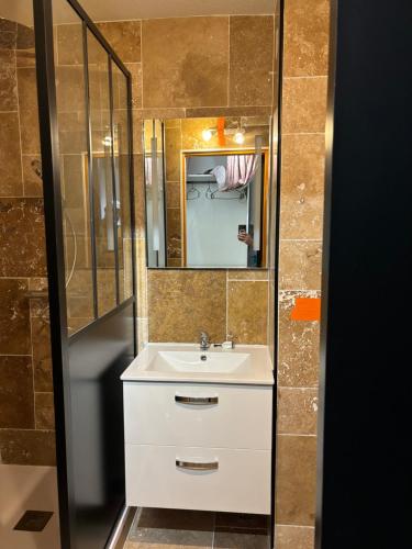 bagno con lavandino e specchio di Les Oliviers a Balaruc-les-Bains