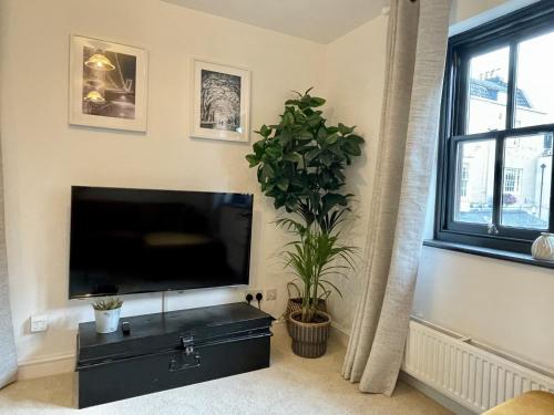 Cosy Oasis in the Heart of Clifton Village photo 10