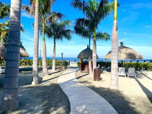 un sendero en la playa con palmeras en Apartamento en Santa Marta - Samaria club de playa, en Santa Marta